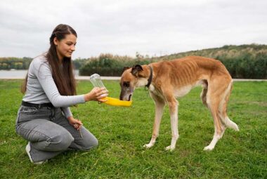 woman giving dog water